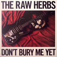 raw  herbs-BuryA03